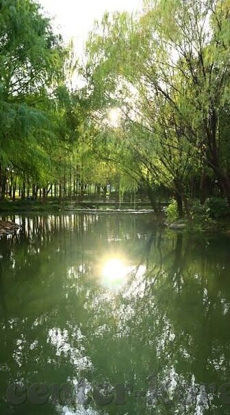 精东传媒果冻传媒91制片厂-影视界的新兴力量，精东传媒、果冻传媒与91制片厂的多维视角