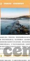 丽人保镖中文字幕-丽人保镖，守护与陪伴的细腻艺术