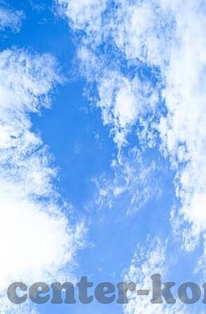 色哟哟一区二区-探索网络世界的多元与界限，色哟哟一区二区的警示
