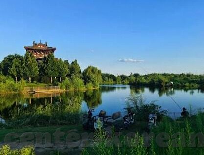 在线中文伦理网站-探索在线中文伦理网站的构建与价值